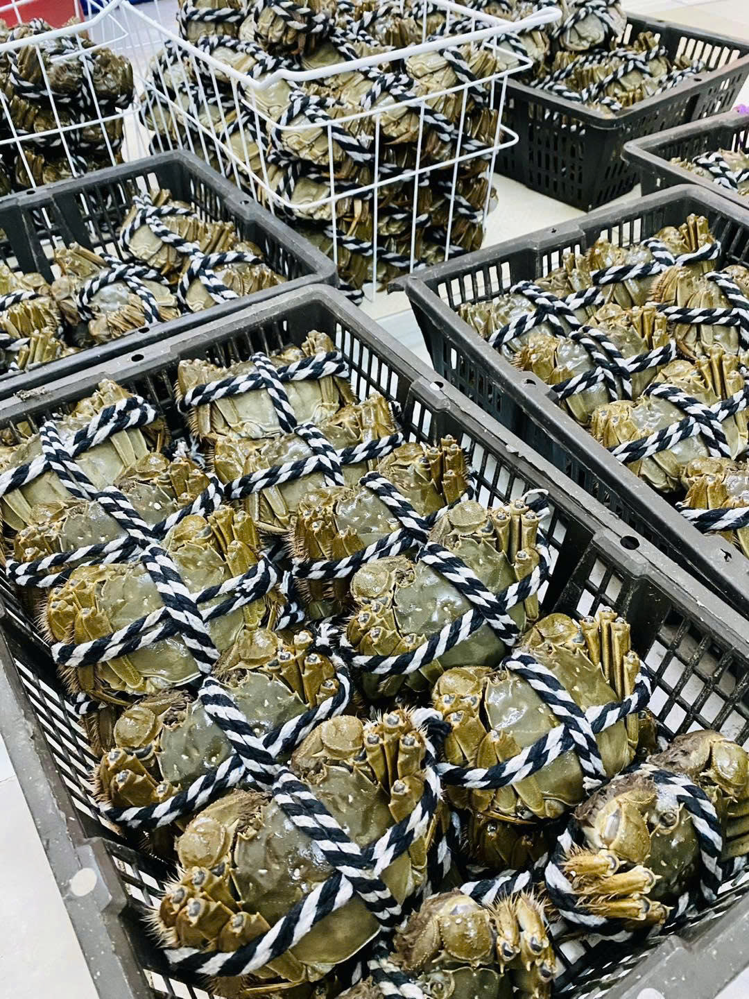 Con cua Lông – Tinh Hoa Ẩm Thực Đến Từ Thượng Hải Và Vịnh Bắc Bộ