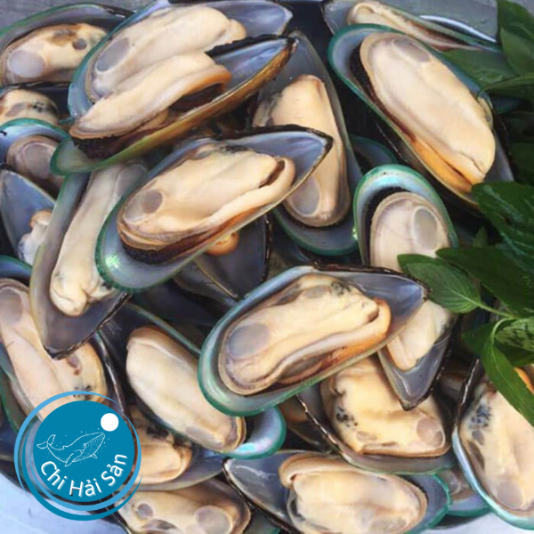 Vem xanh New Zealand TPHCM – Hải sản cao cấp cho nhà hàng & gia đình