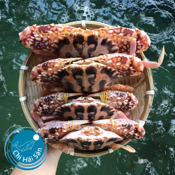 Chihaisan - Cơ sở bán ghẹ đỏ uy tín